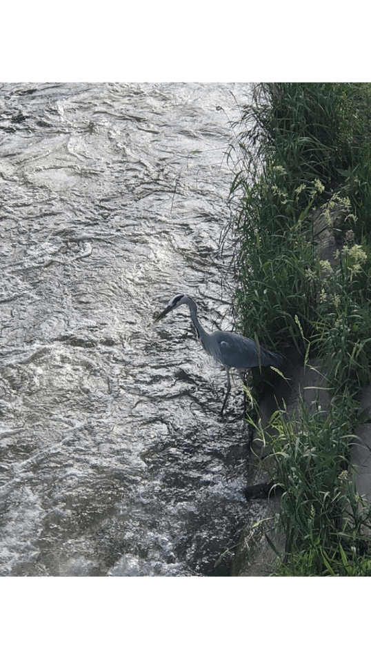 Screenshot_2018-06-02-21-47-36-832_com.instagram.android